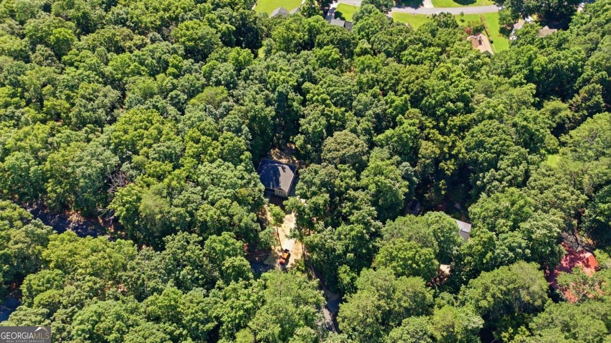 2255 Pilgrim Mill Way Cumming - Photo 28