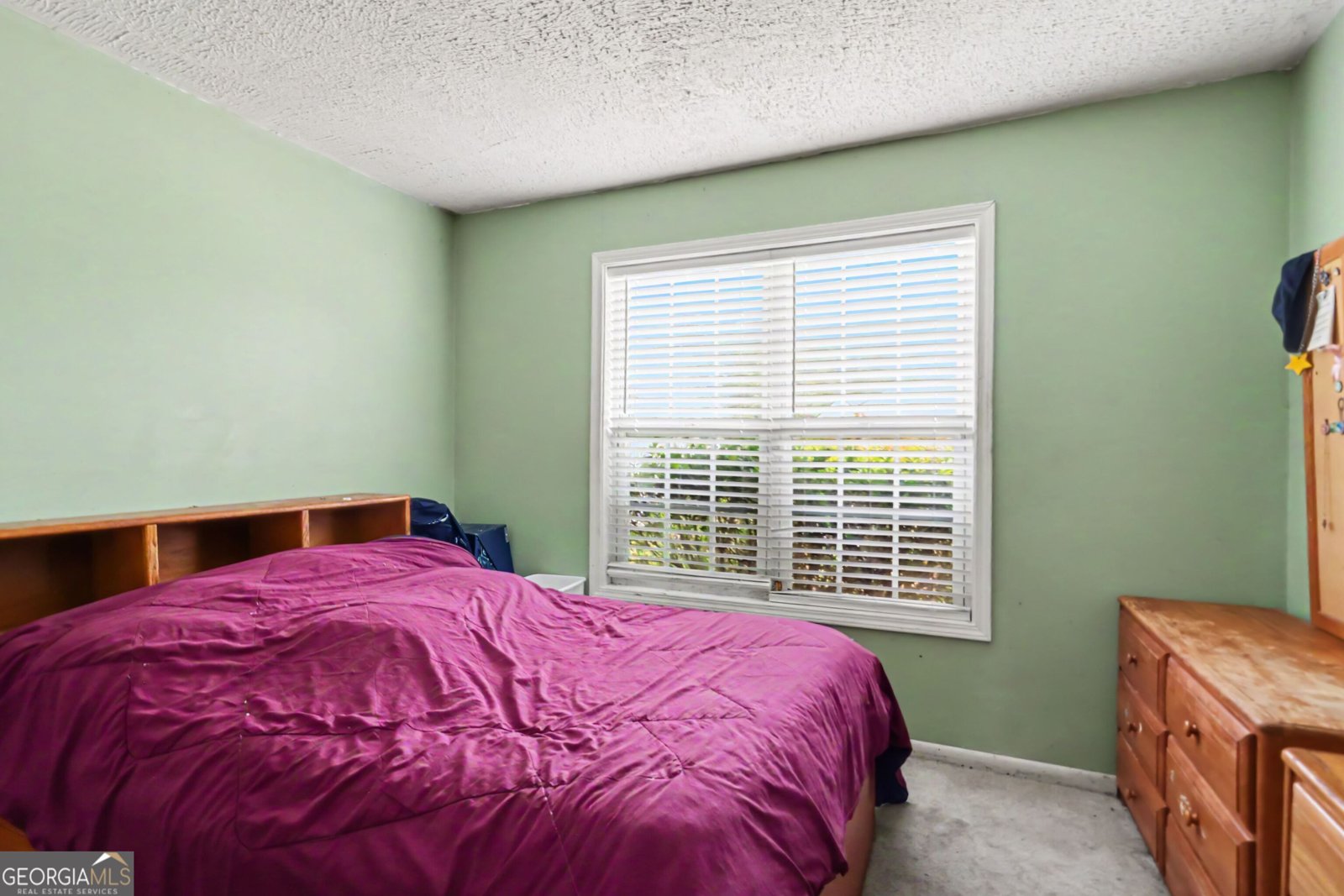 136 Harbour Lake Drive Fayetteville - Photo 21