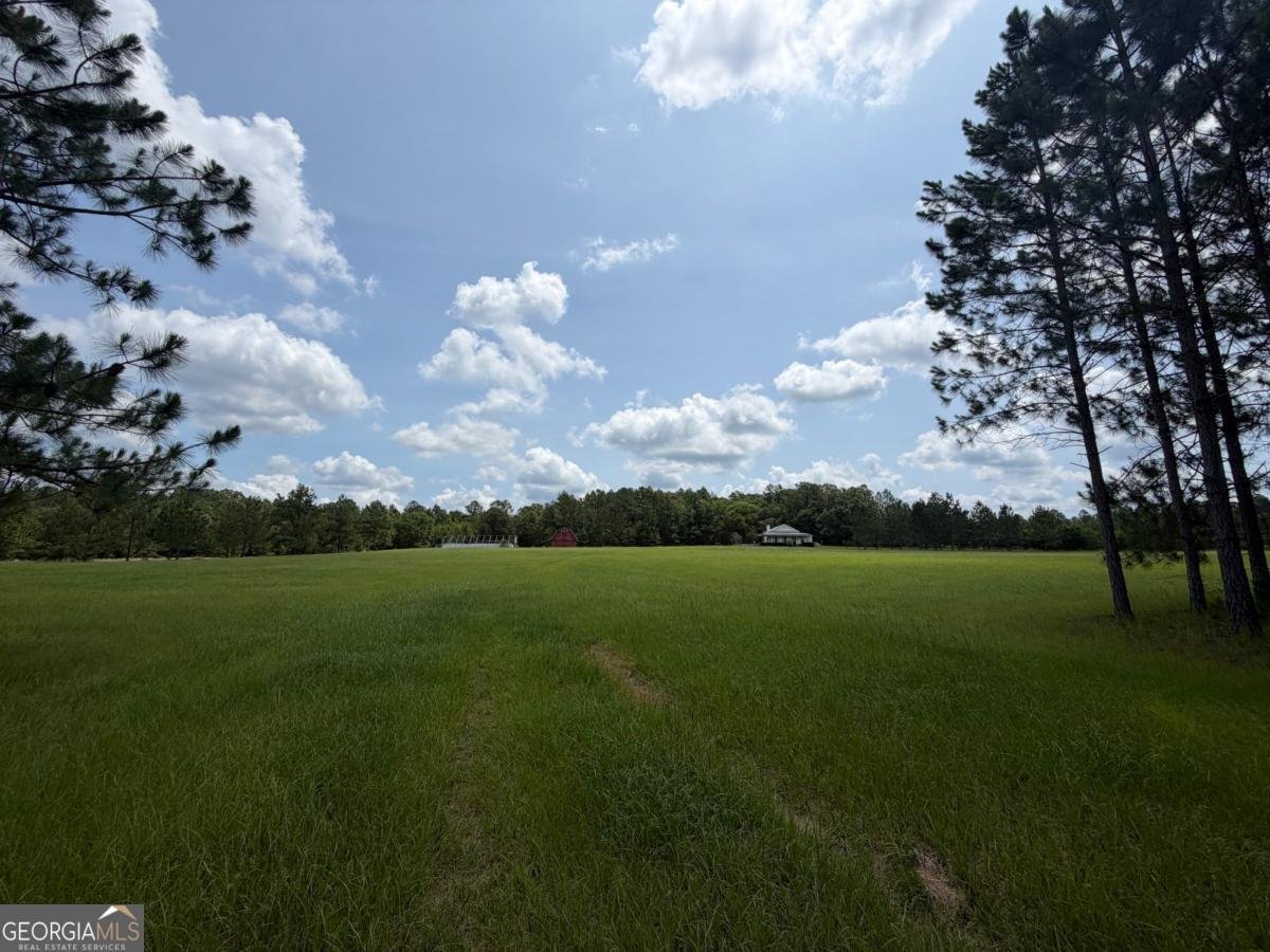 479 Old Poor Robin Road Sylvania - Photo 22