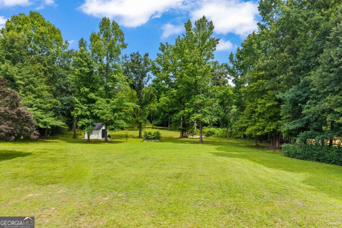 3870 Sardis Church Road Buford - Photo 74