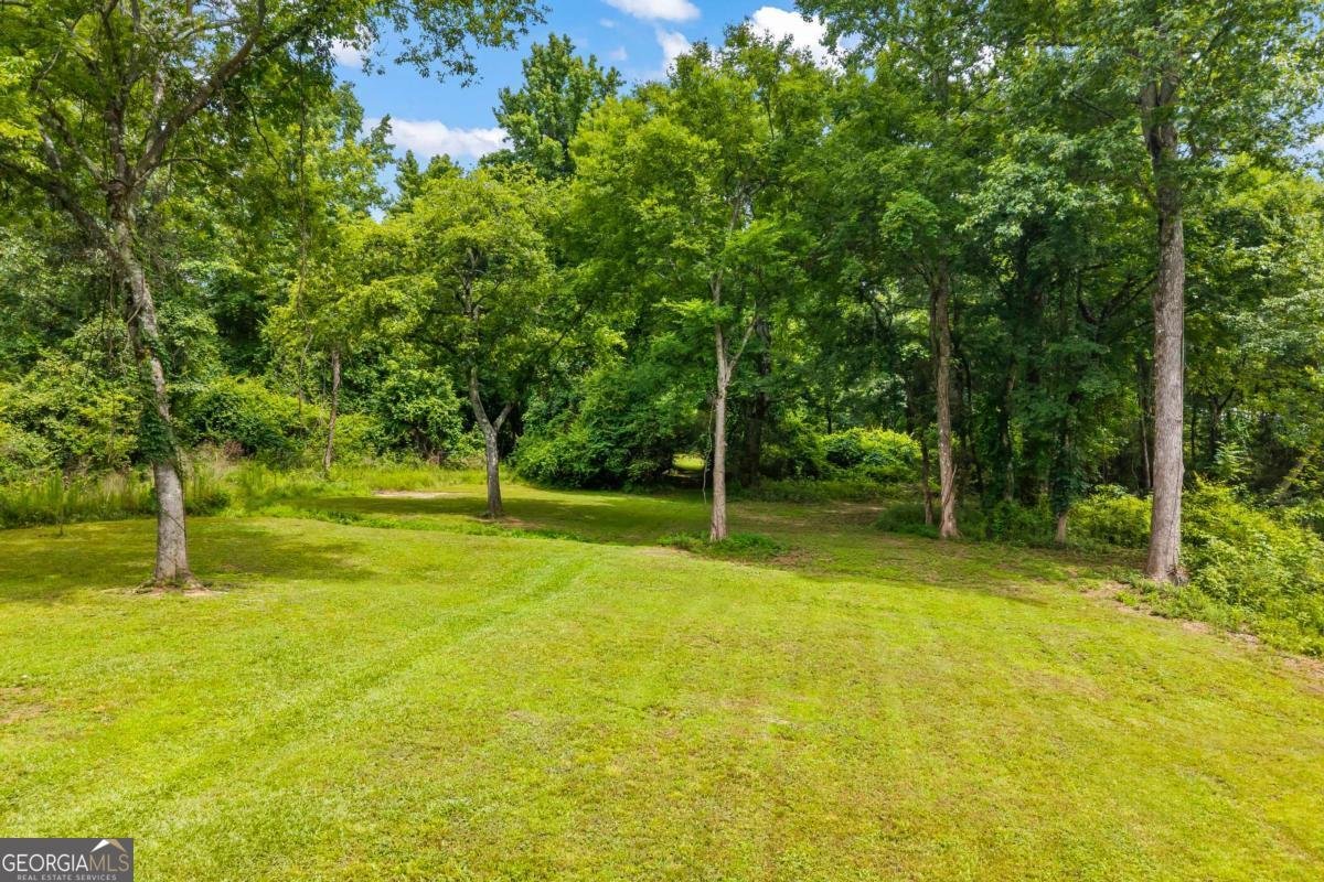 3870 Sardis Church Road Buford - Photo 75