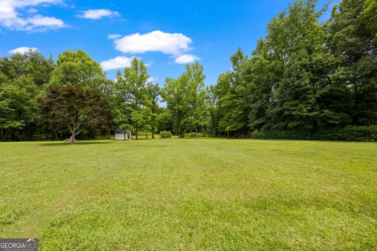 3870 Sardis Church Road Buford - Photo 76