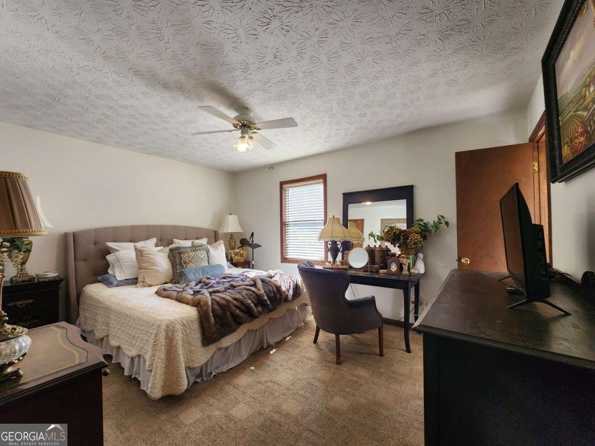 4225 Spring Gate Drive Powder Springs - Photo 12