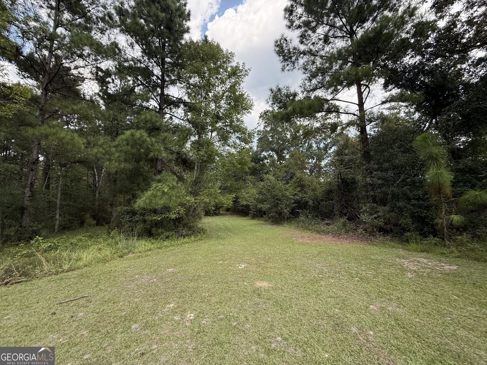 3356 Hwy 338 Dexter - Photo 40