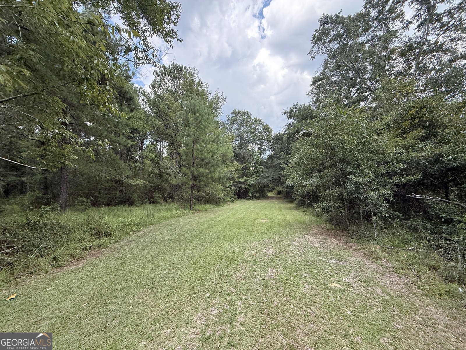 3356 Hwy 338 Dexter - Photo 41