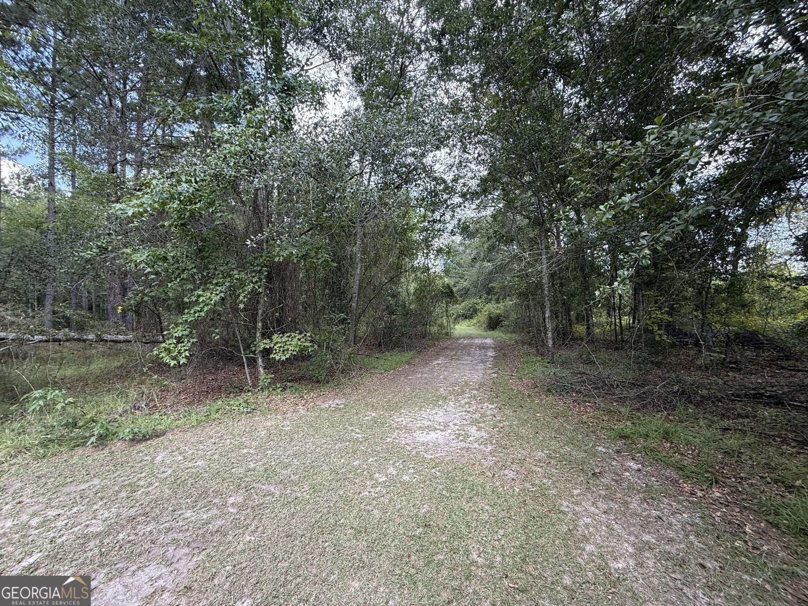 3356 Hwy 338 Dexter - Photo 42