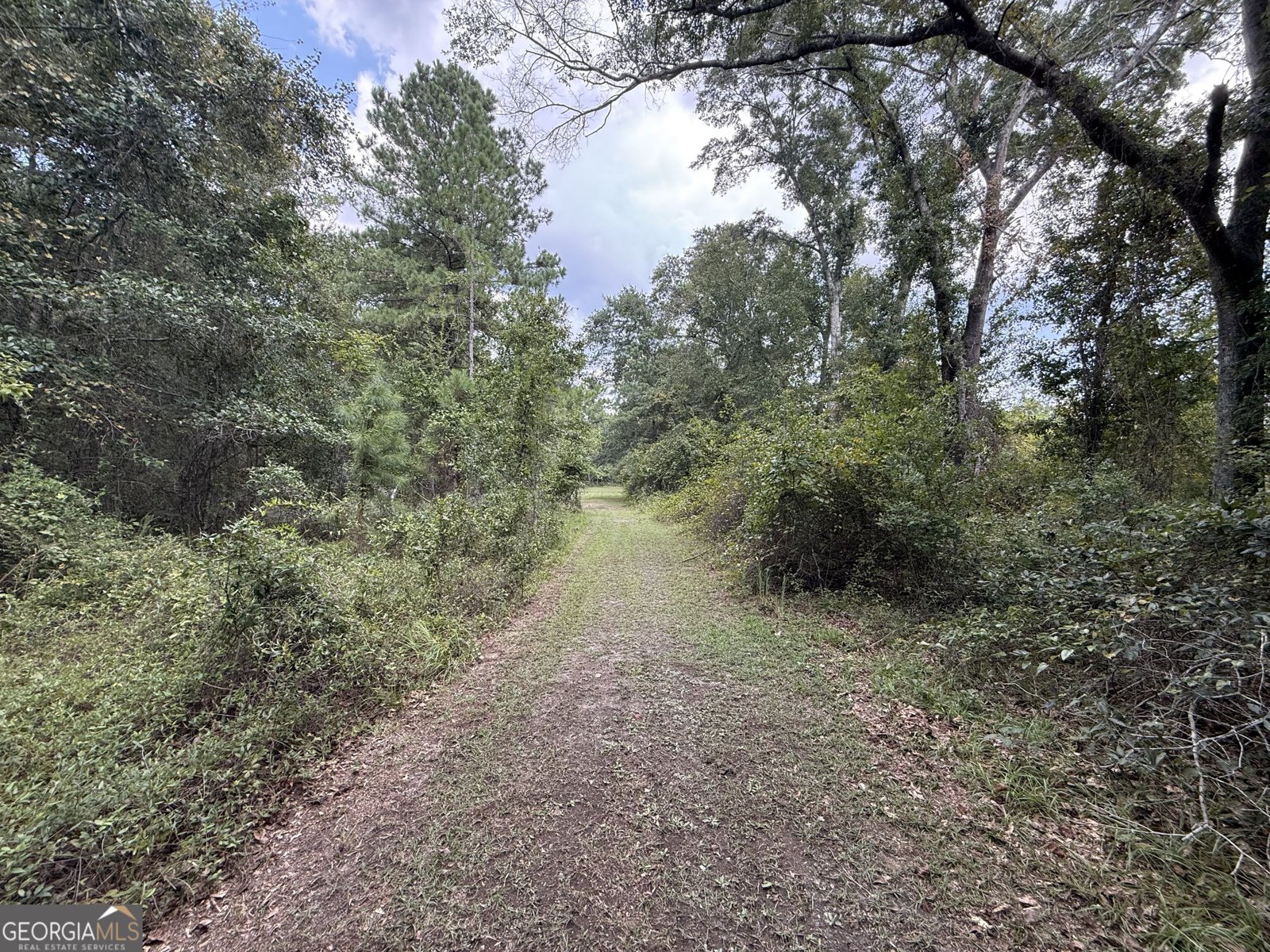 3356 Hwy 338 Dexter - Photo 43