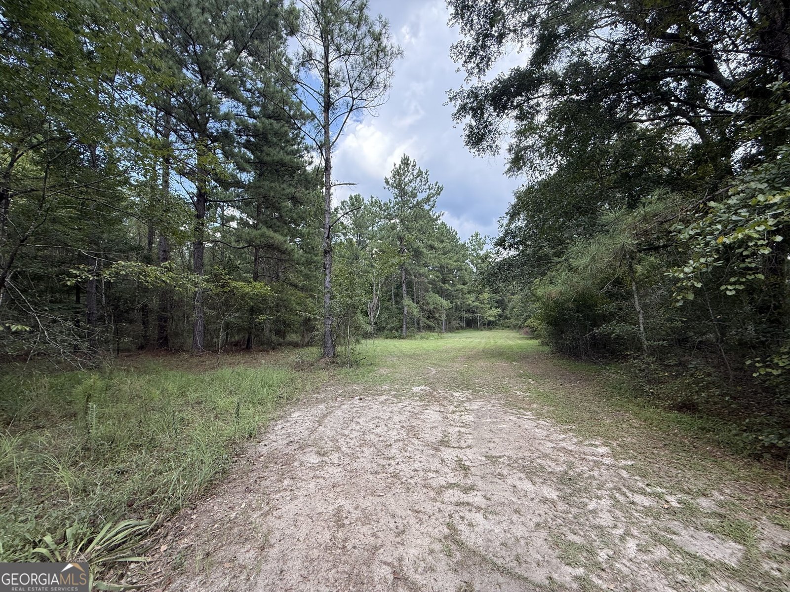 3356 Hwy 338 Dexter - Photo 44