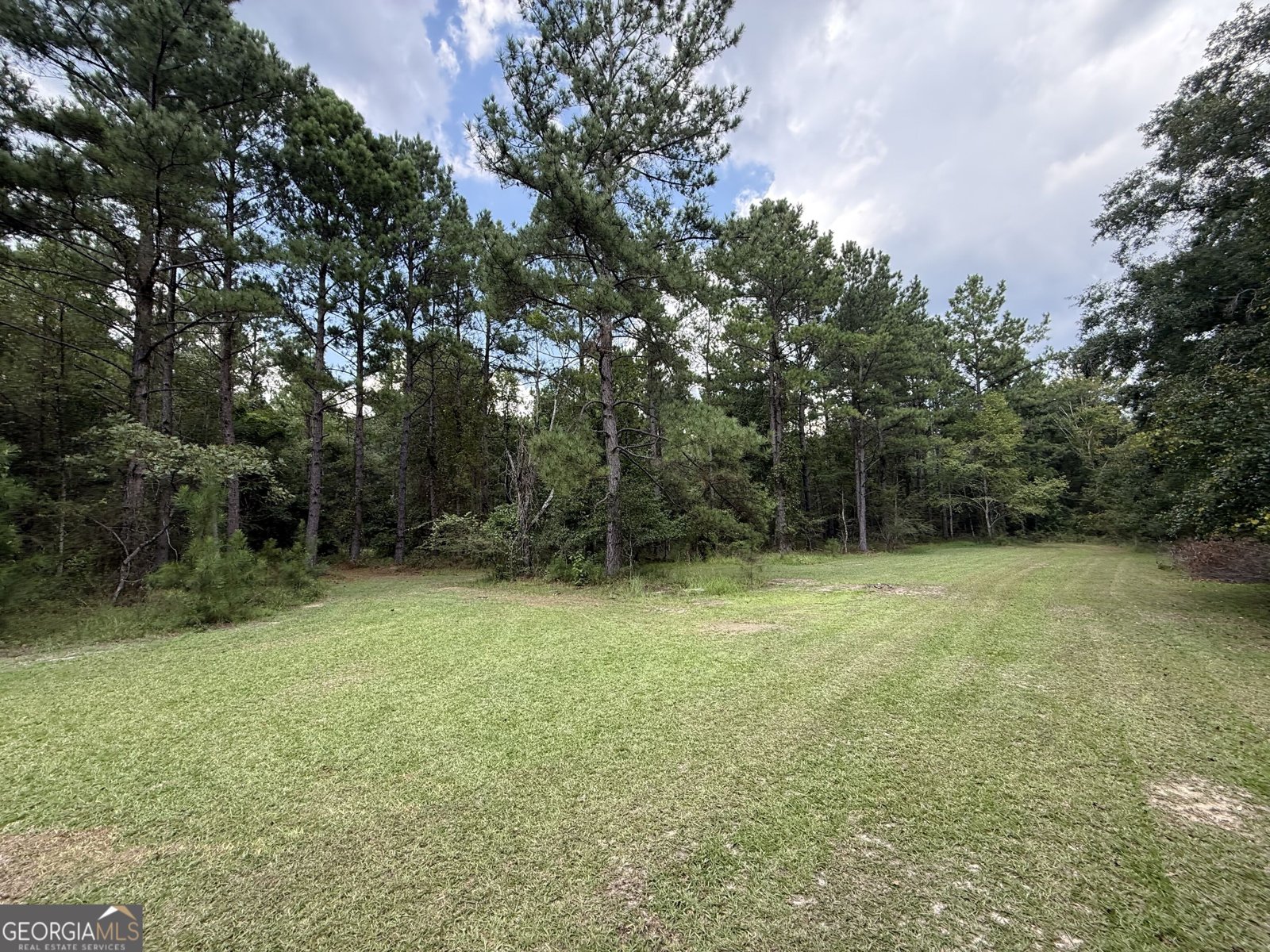 3356 Hwy 338 Dexter - Photo 45