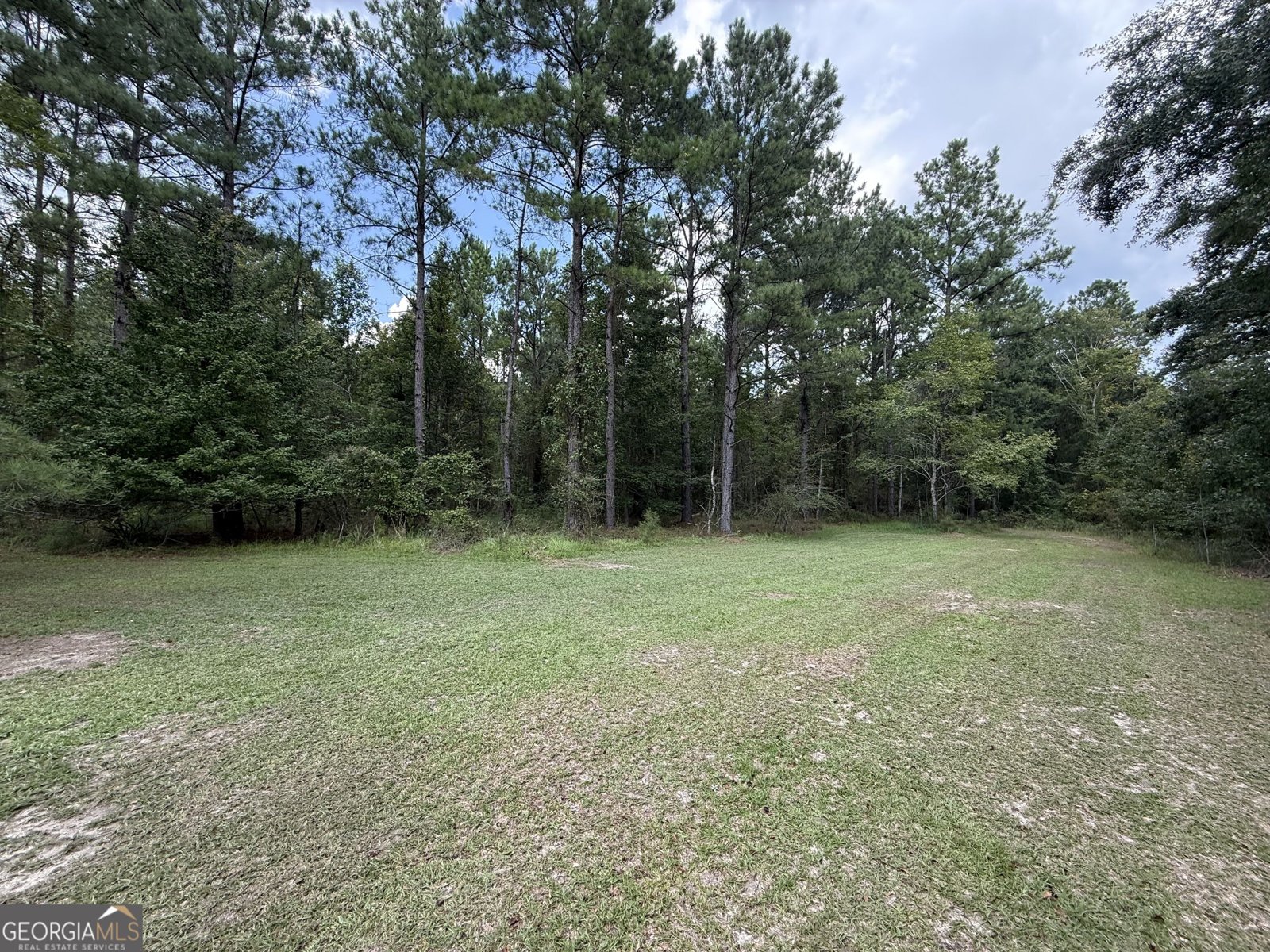 3356 Hwy 338 Dexter - Photo 46