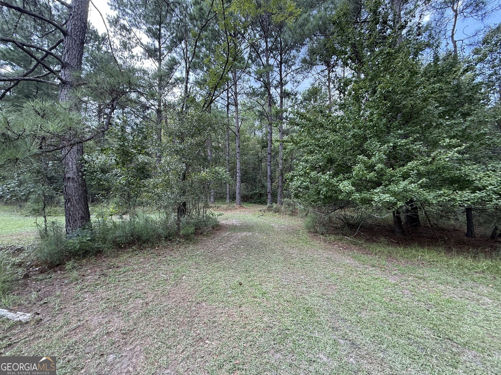 3356 Hwy 338 Dexter - Photo 47