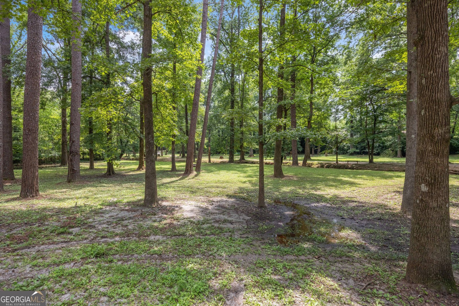 3838 Lyn Drive Columbus - Photo 47