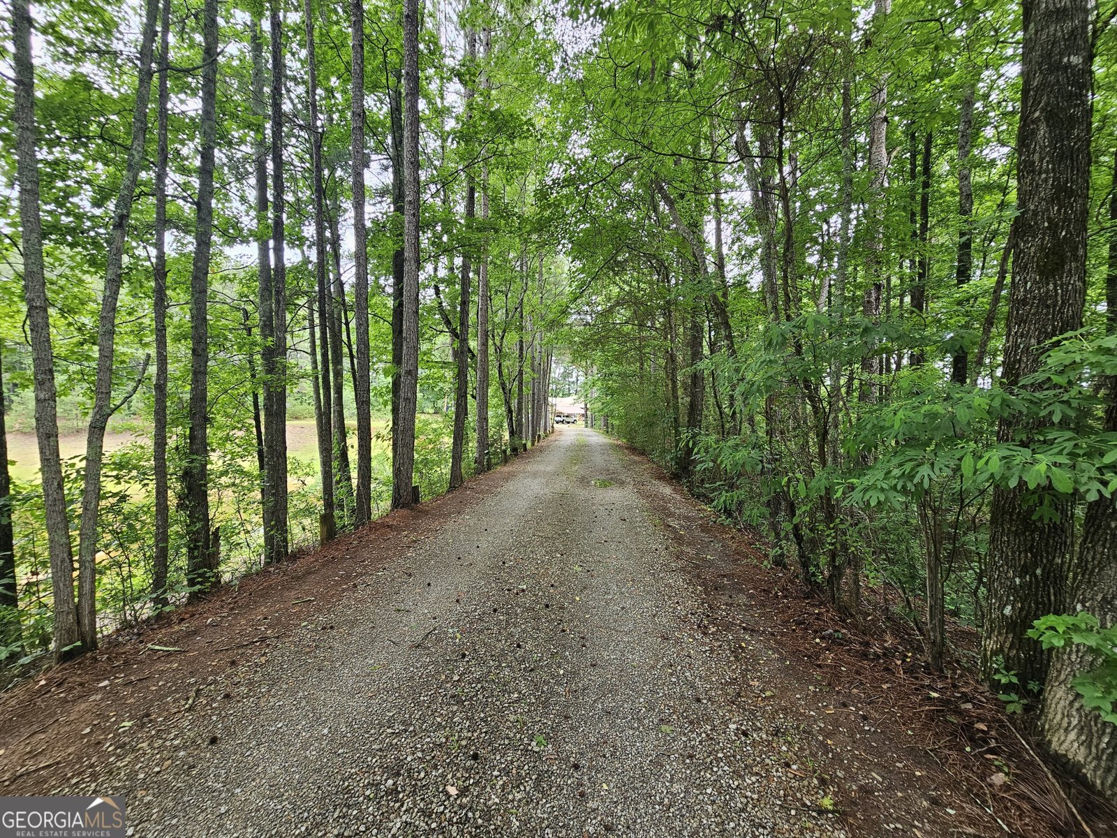 1440 County Road 26 Roanoke - Photo 10