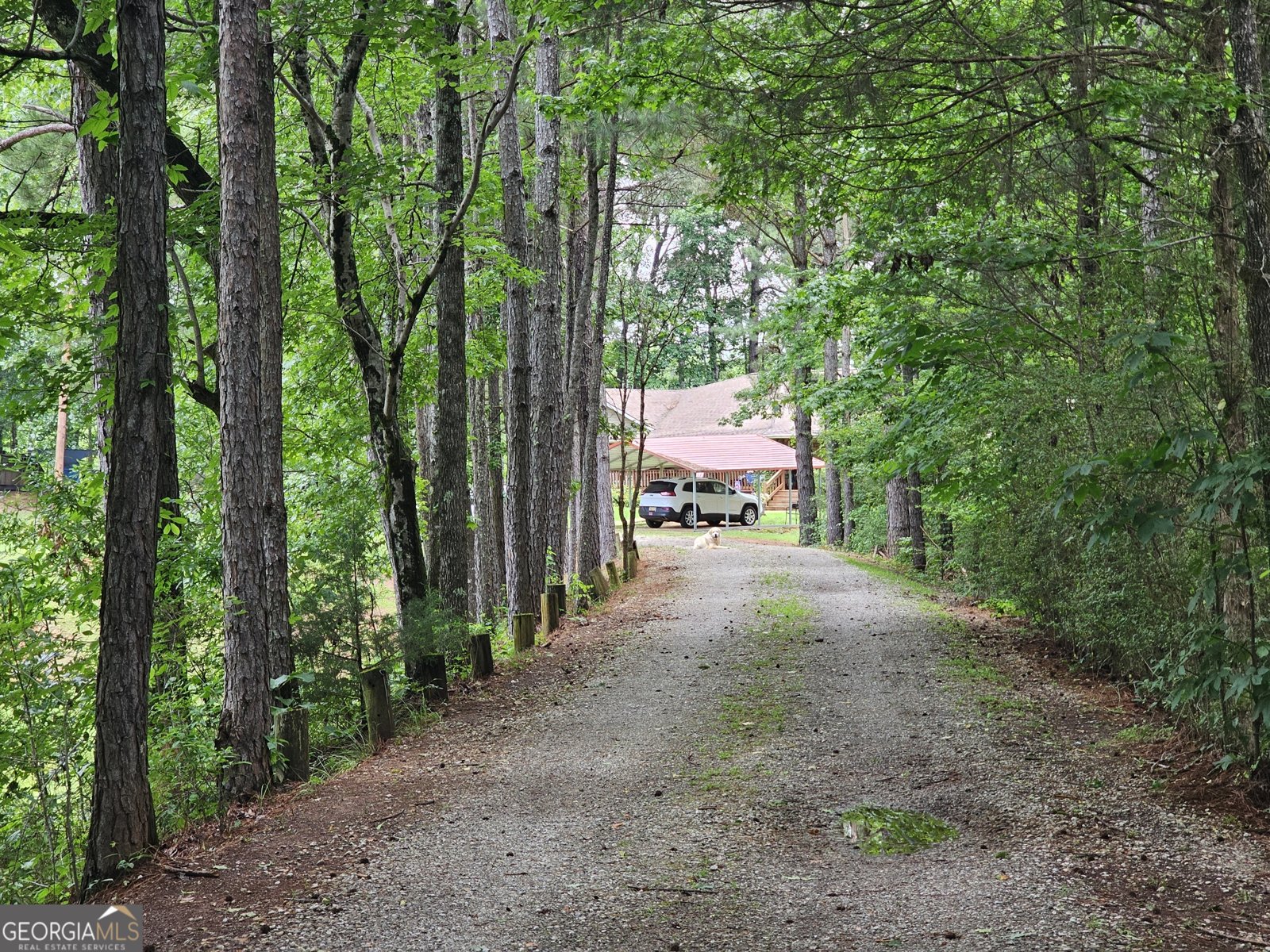 1440 County Road 26 Roanoke - Photo 39
