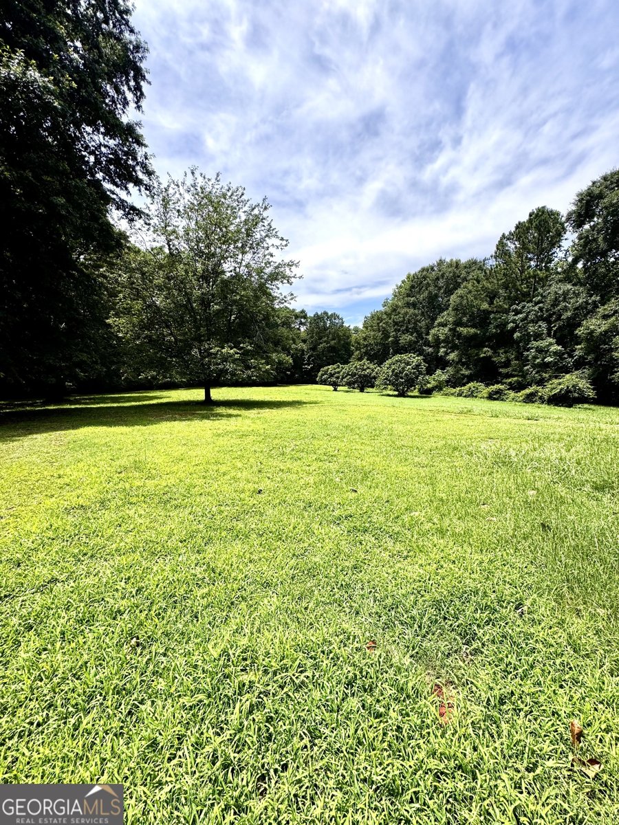 1793 Trice Cemetery Rd. Thomaston - Photo 49