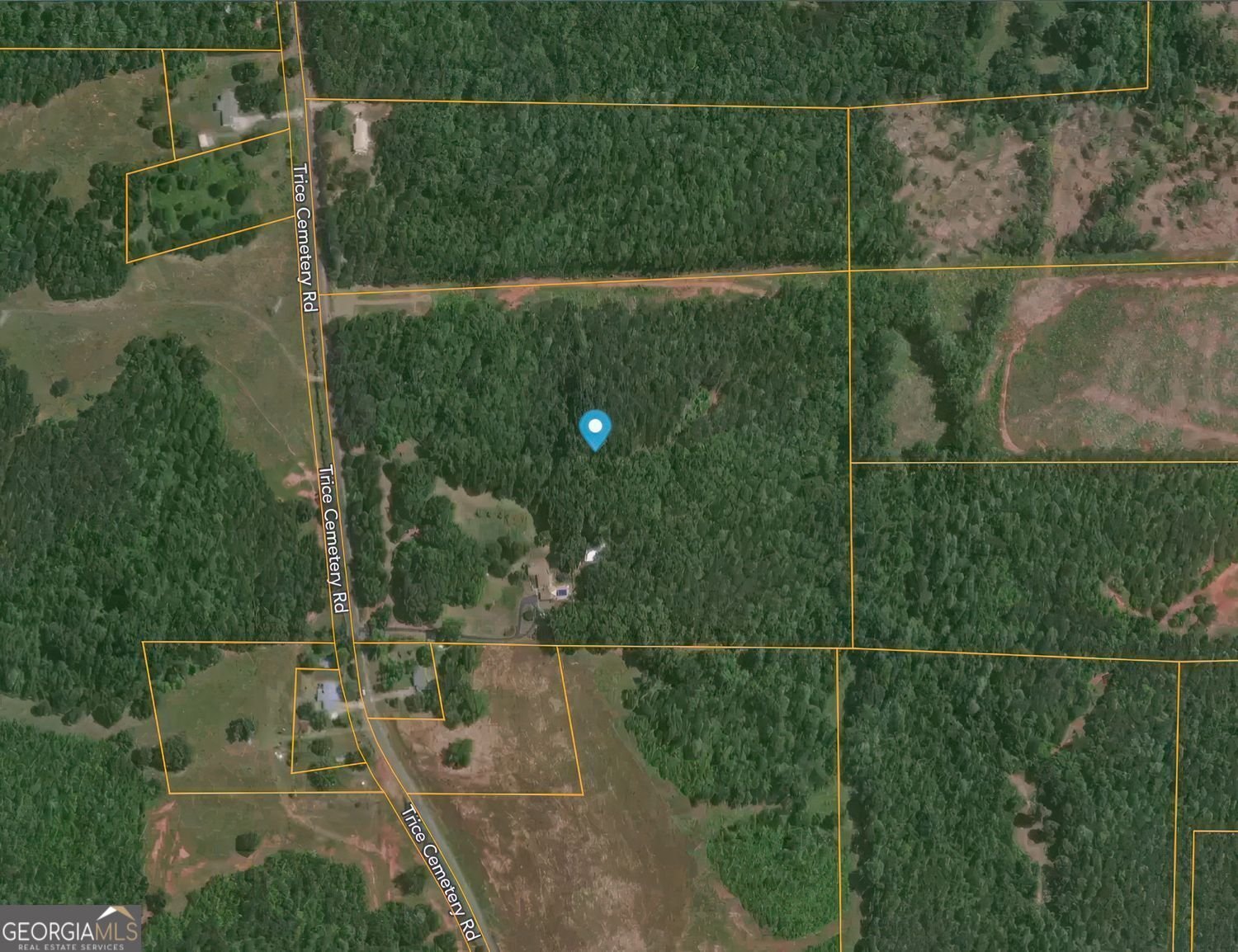 1793 Trice Cemetery Rd. Thomaston - Photo 57