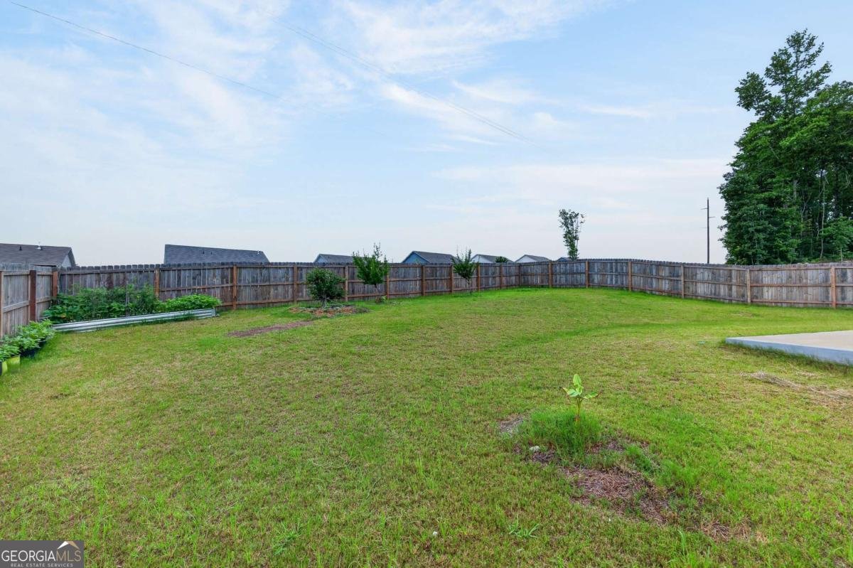 4861 Layton Drive Lithia Springs - Photo 14
