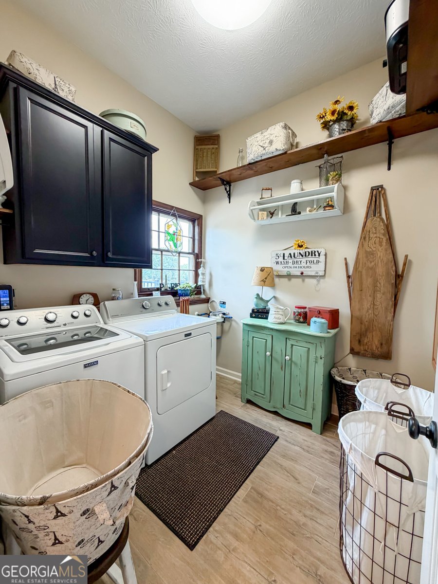 4817 Cook Road Stockbridge - Photo 64
