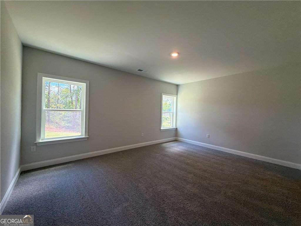 3375 Trevi Trail Douglasville - Photo 28