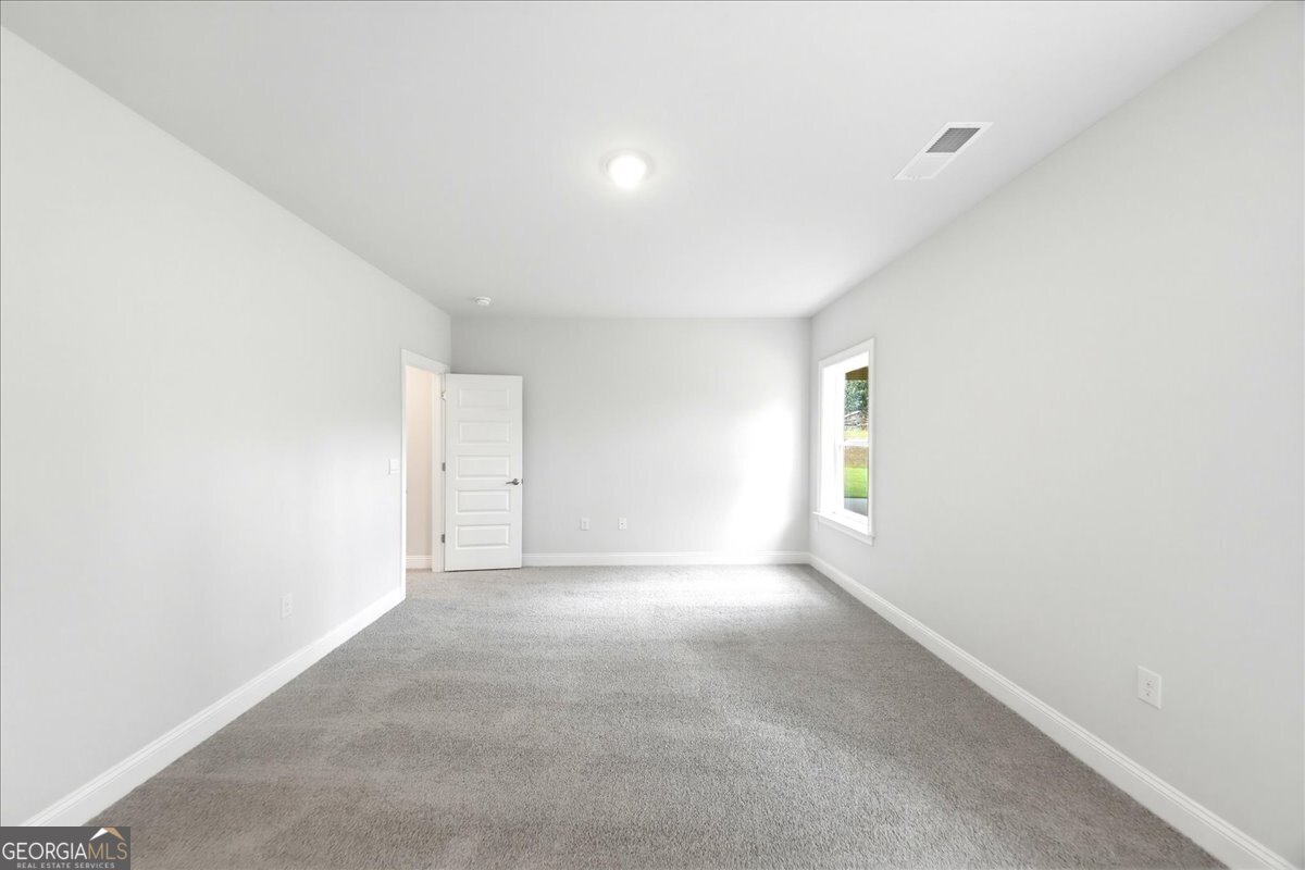 3375 Trevi Trail Douglasville - Photo 42