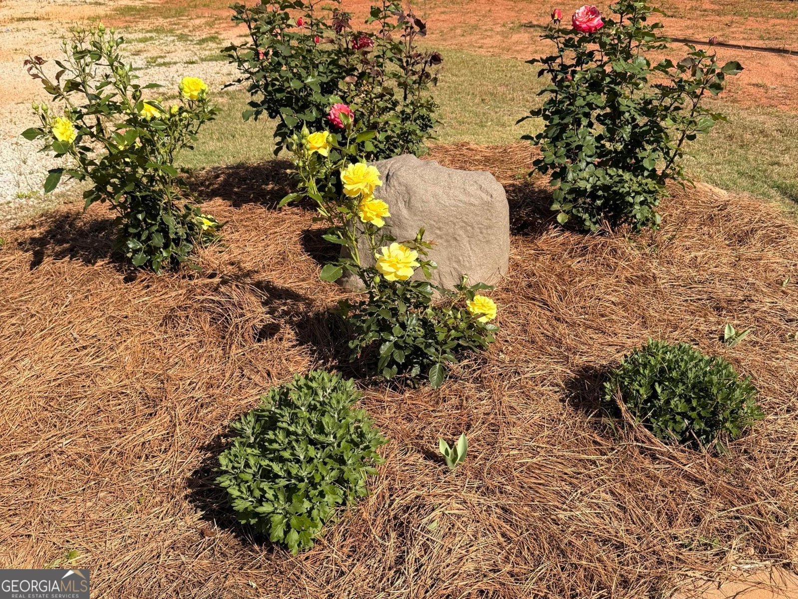192 MANDY Drive WEDOWEE - Photo 26