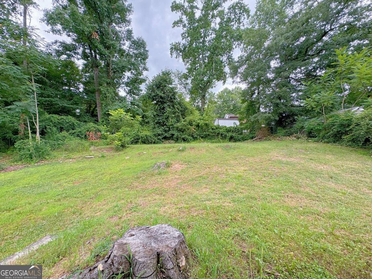 2223 Shamrock Drive Decatur - Photo 22