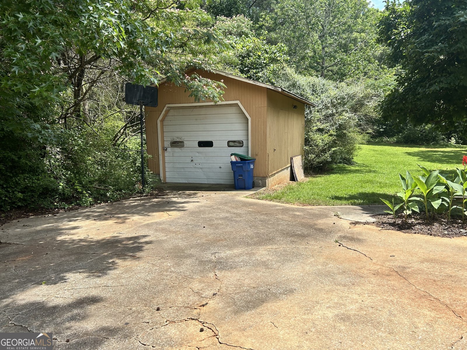 Photo 3
