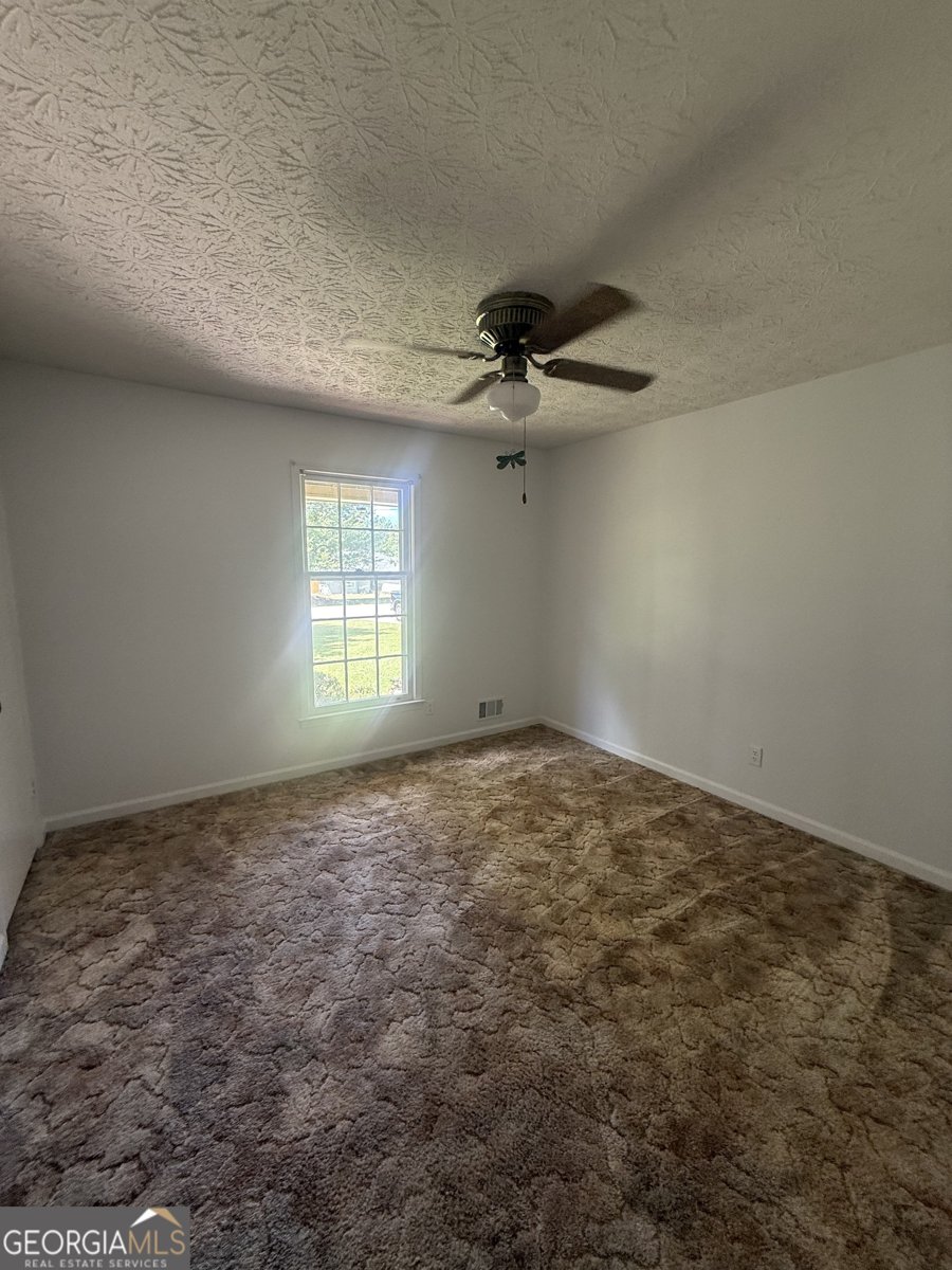 255 Helen Lane Stockbridge - Photo 17