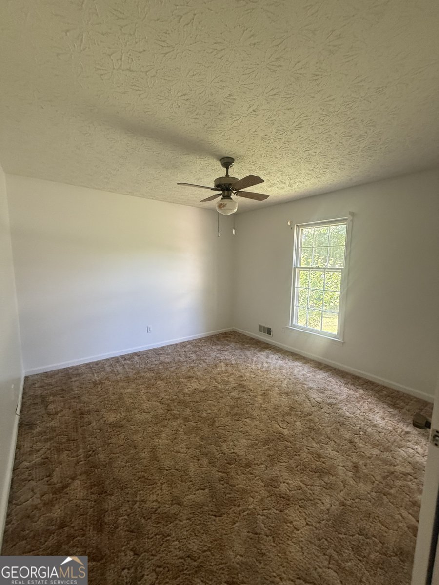 255 Helen Lane Stockbridge - Photo 20