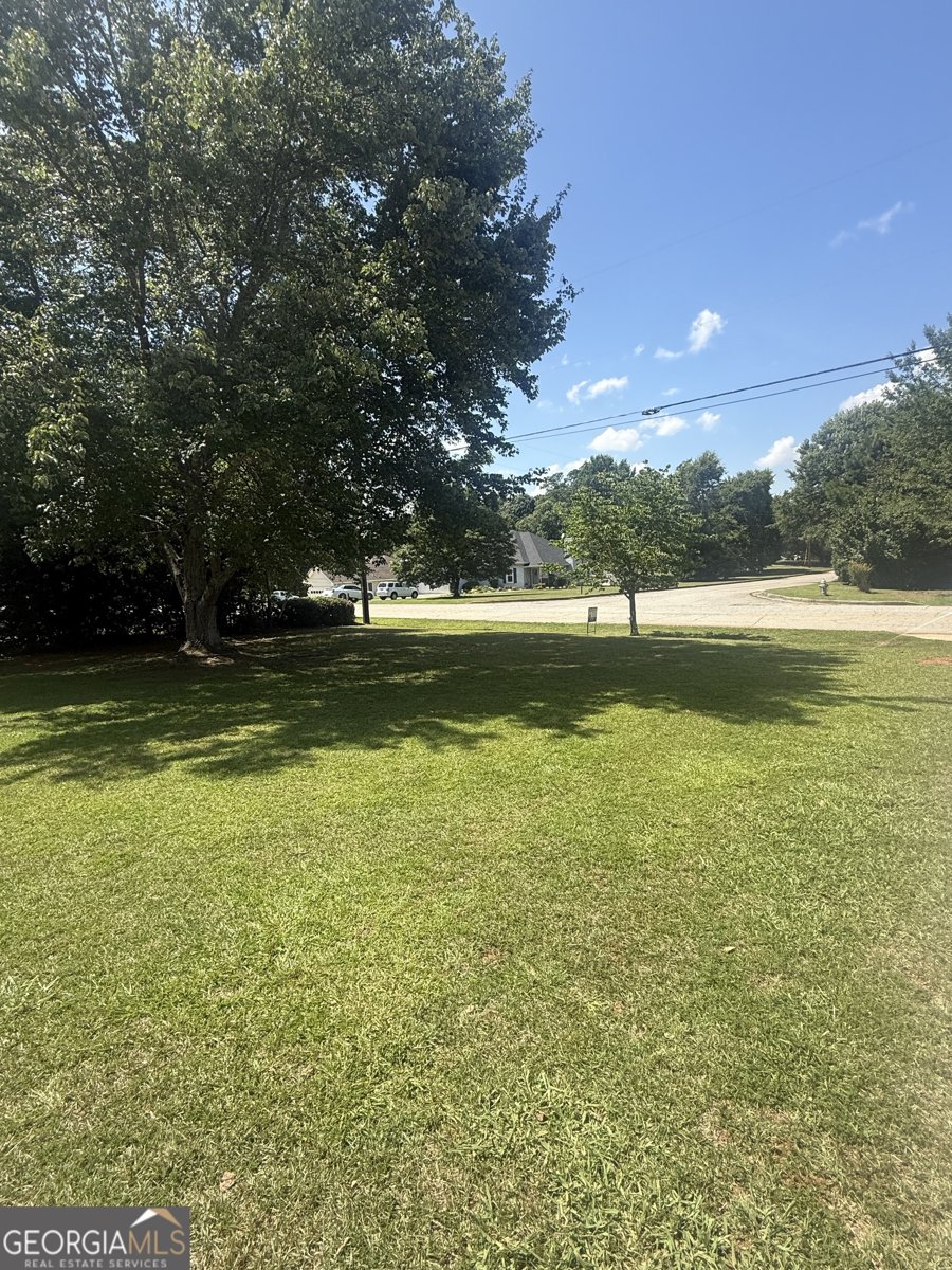 255 Helen Lane Stockbridge - Photo 28