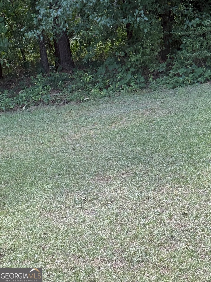 255 Helen Lane Stockbridge - Photo 29