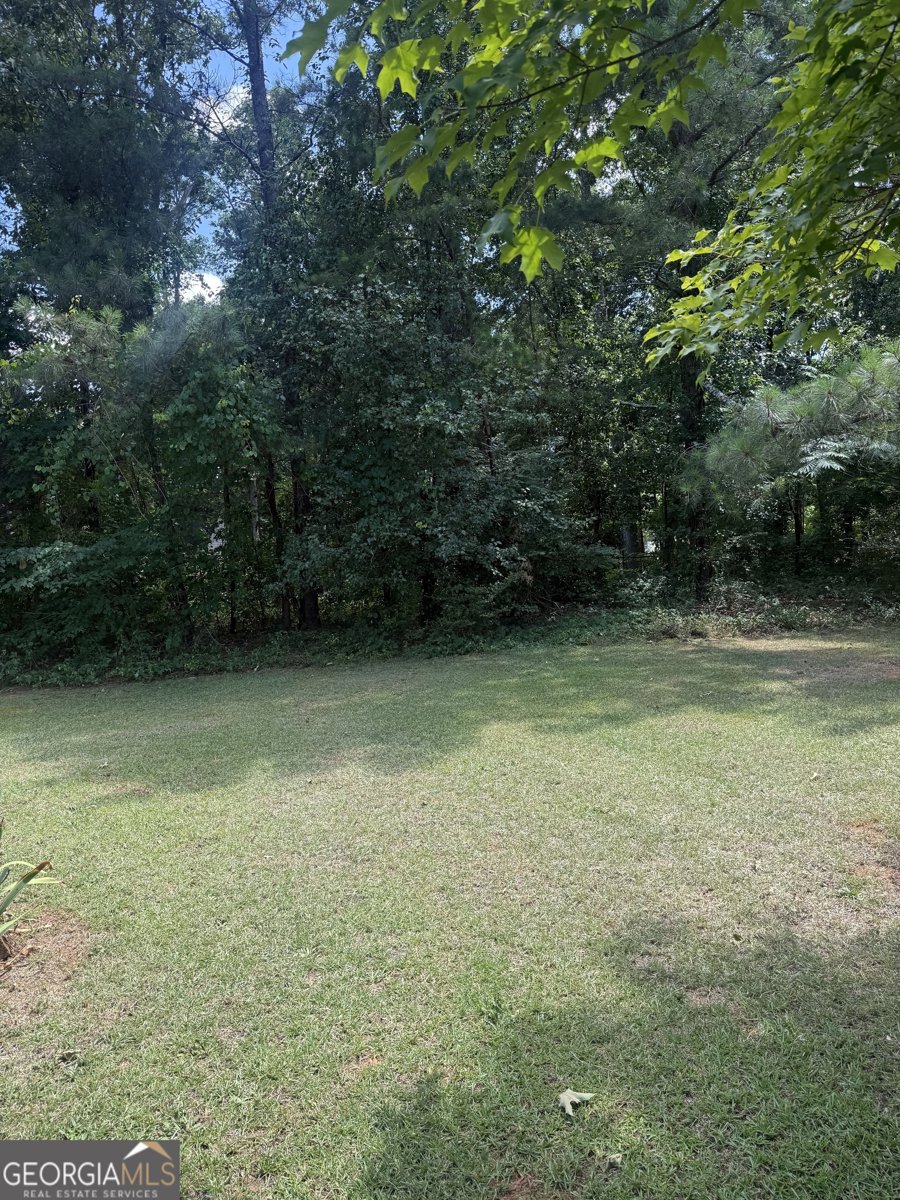 255 Helen Lane Stockbridge - Photo 33