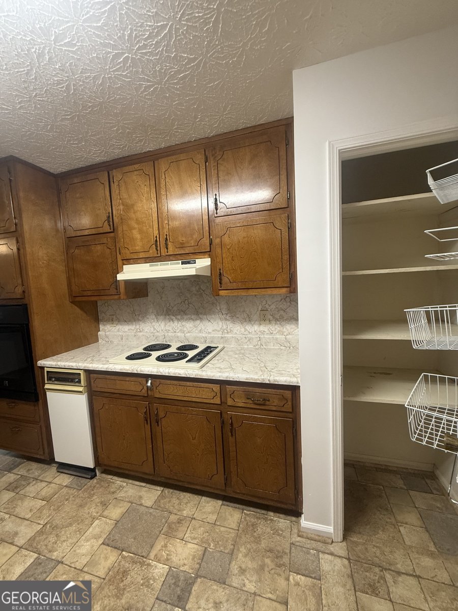 255 Helen Lane Stockbridge - Photo 9