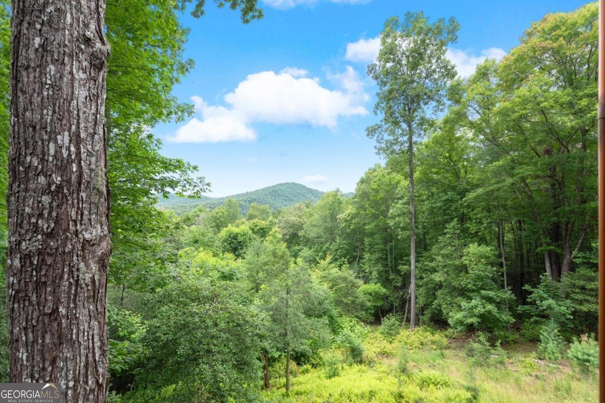 98 Aries Lane Blue Ridge - Photo 31