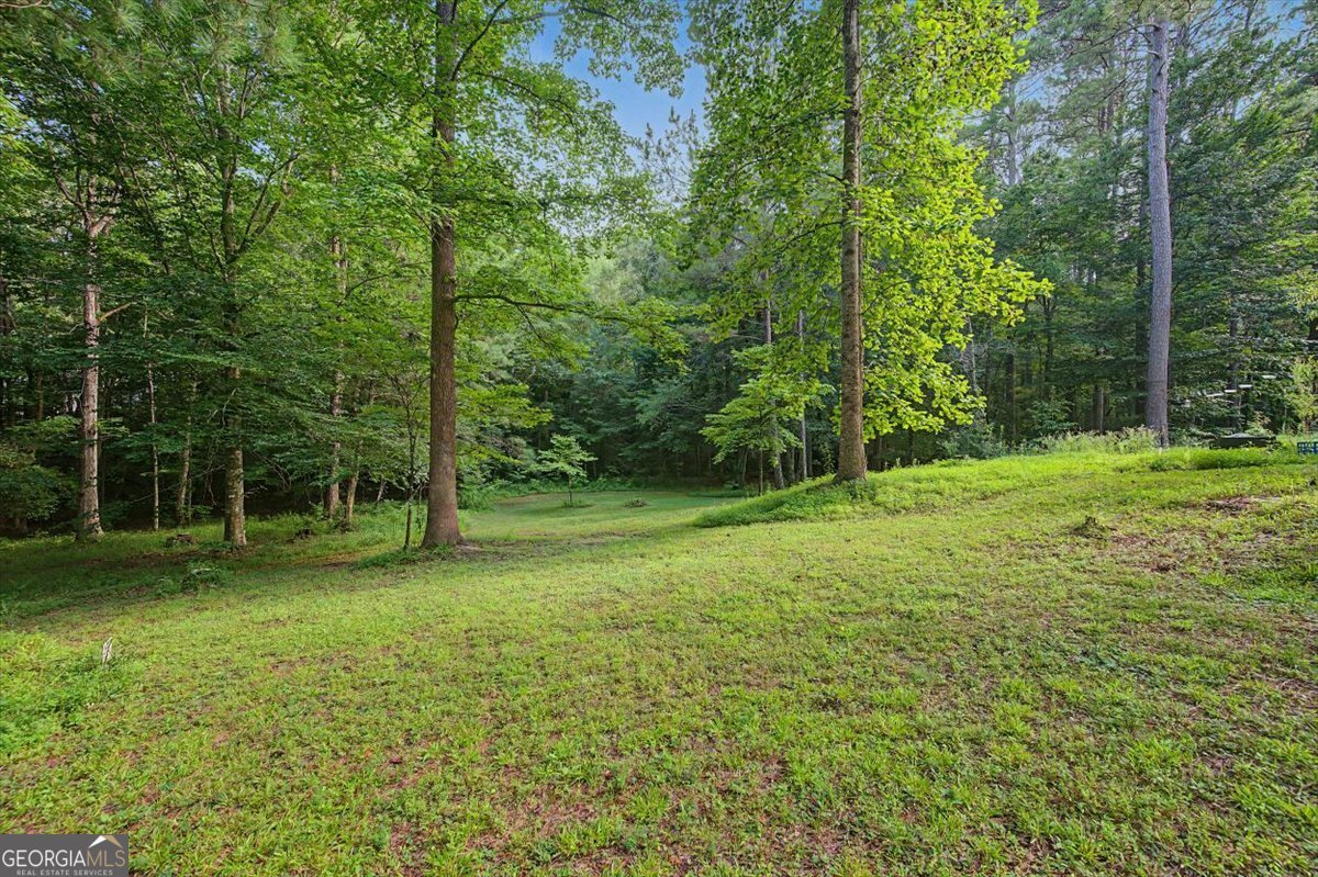 1682 Fincher Road Canton - Photo 48