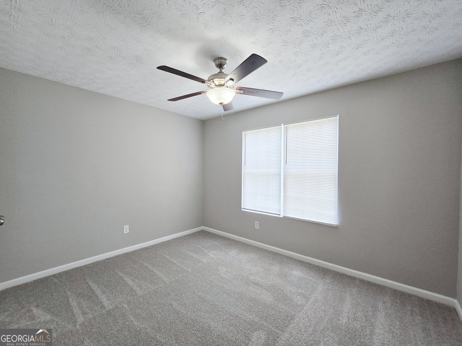 1231 Catalina Parkway McDonough - Photo 11