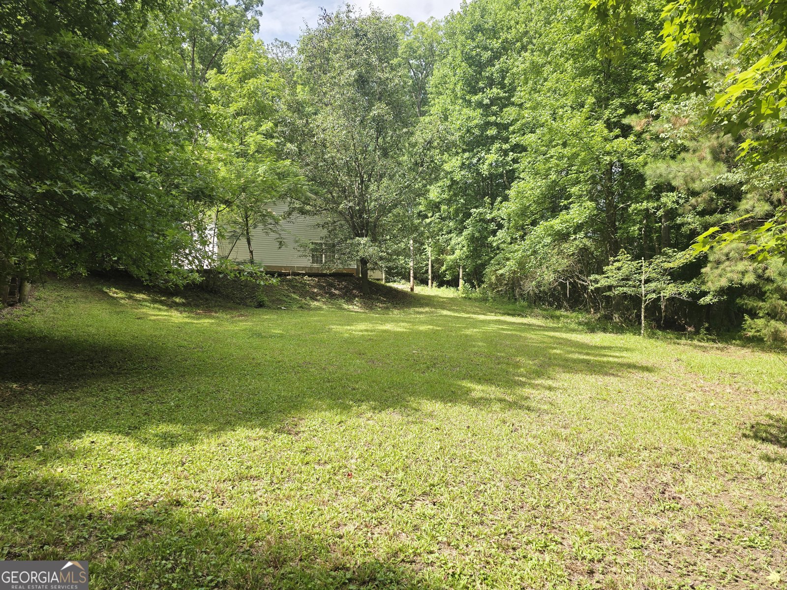 1231 Catalina Parkway McDonough - Photo 26