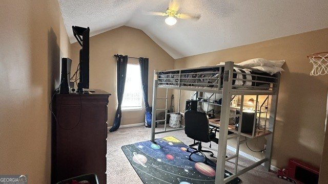3900 Creek Shoals Court Ellenwood - Photo 11