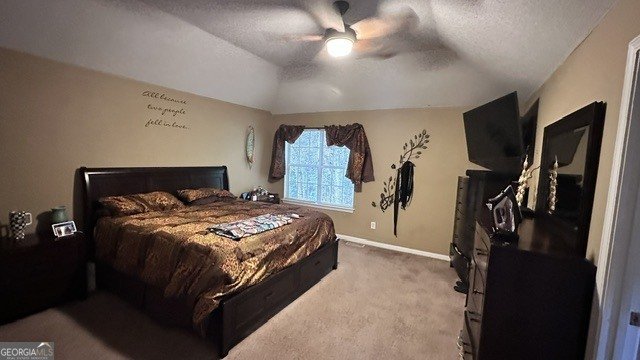 3900 Creek Shoals Court Ellenwood - Photo 15