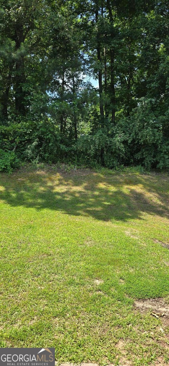 1314 Hollenbeck Lane Riverdale - Photo 27