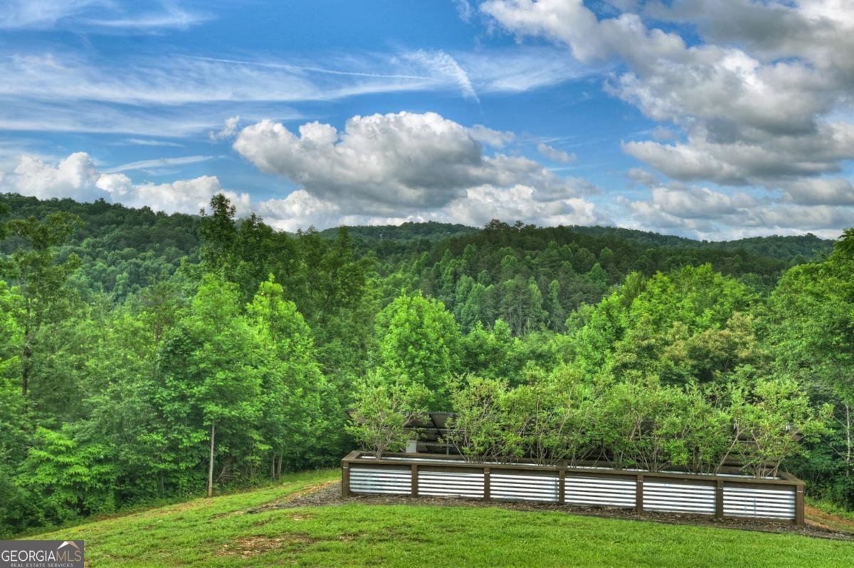 328 Arapaho Walk Mineral Bluff - Photo 36