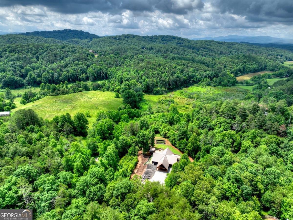 328 Arapaho Walk Mineral Bluff - Photo 51