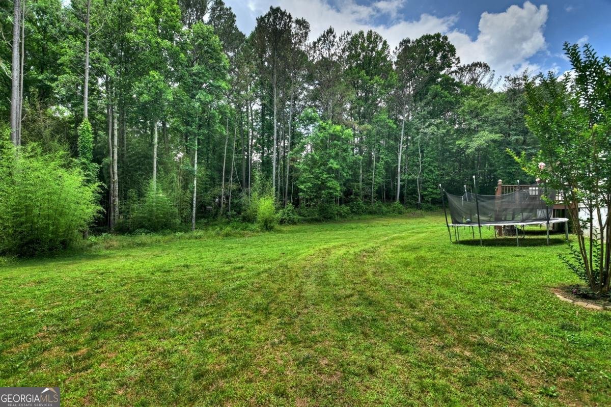 7 Antioch Hill Blairsville - Photo 37