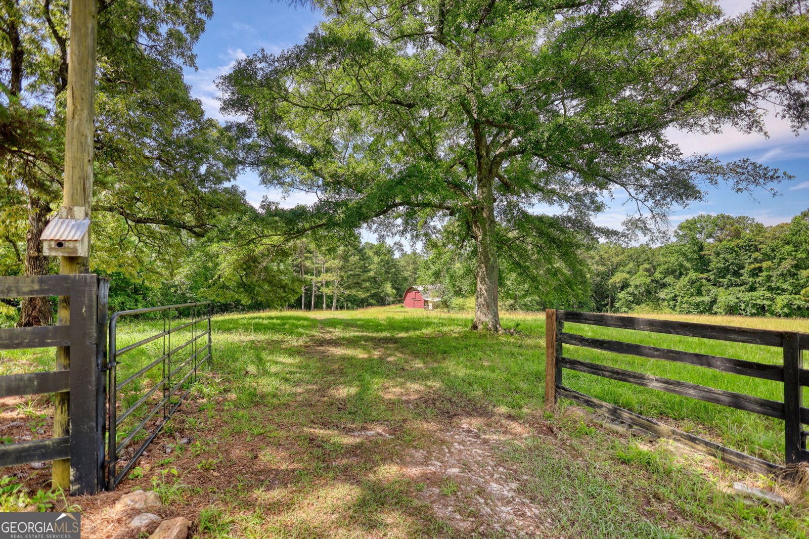 2665 Macedonia Rd Franklin - Photo 9
