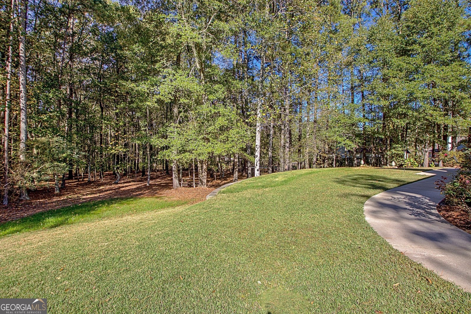 1040 Bob Smith Rd Sharpsburg - Photo 43