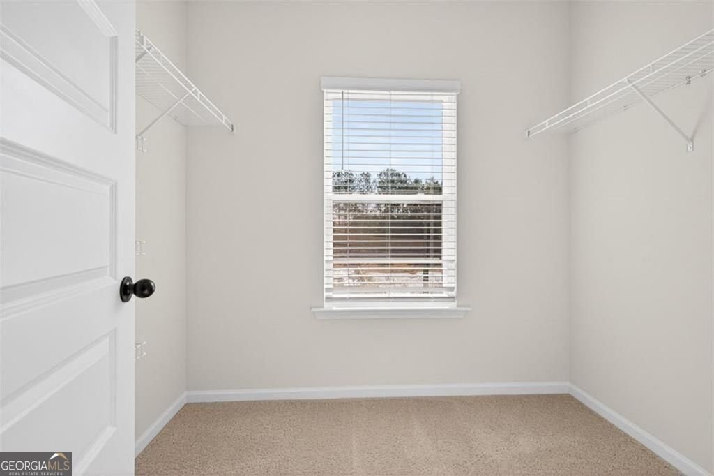 150 Alameda Street Loganville - Photo 19