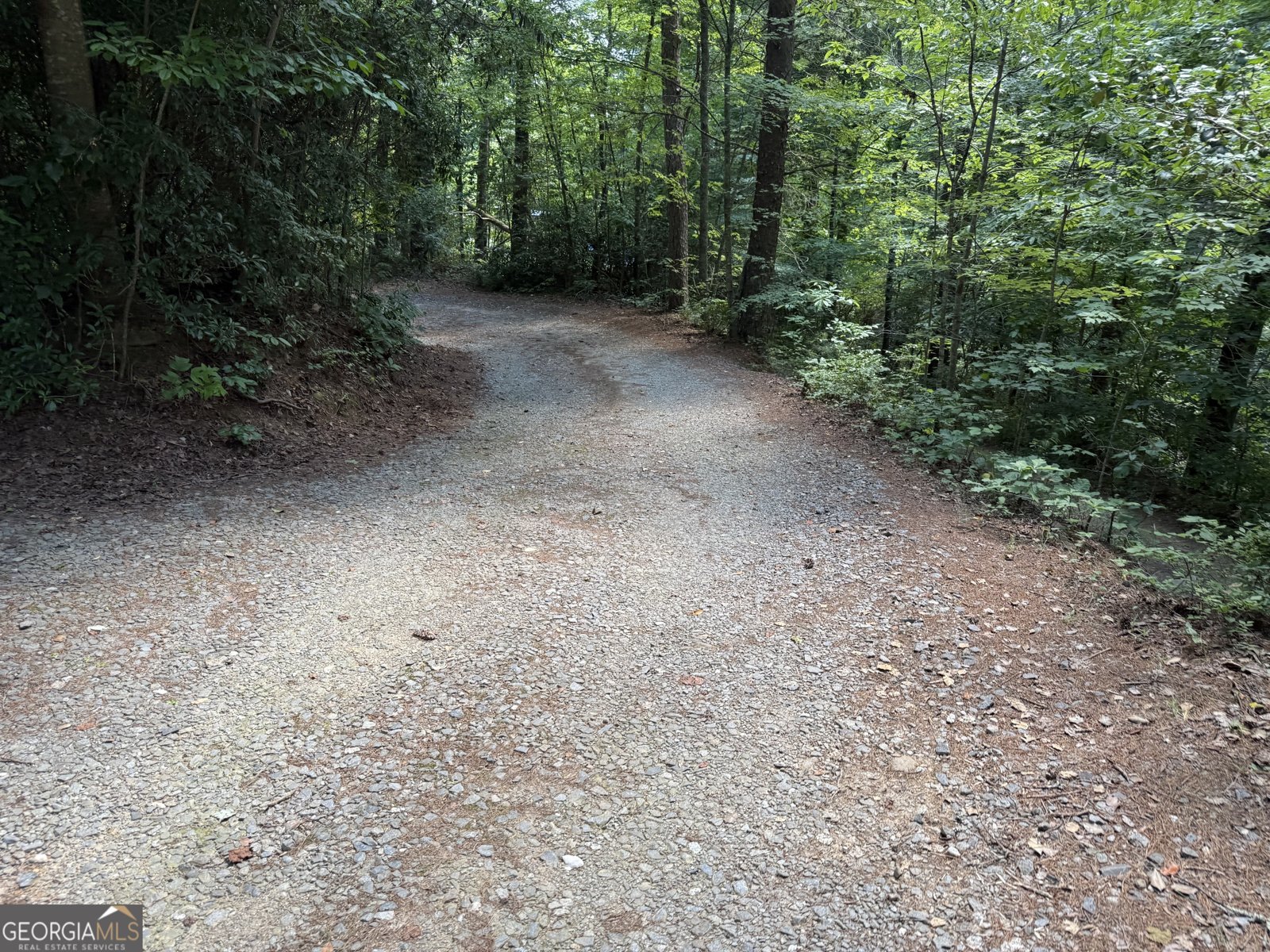 204 Dover Chapel Terrace Ellijay - Photo 10