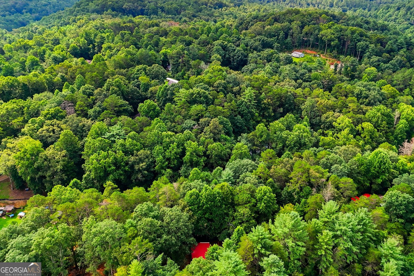 204 Dover Chapel Terrace Ellijay - Photo 39