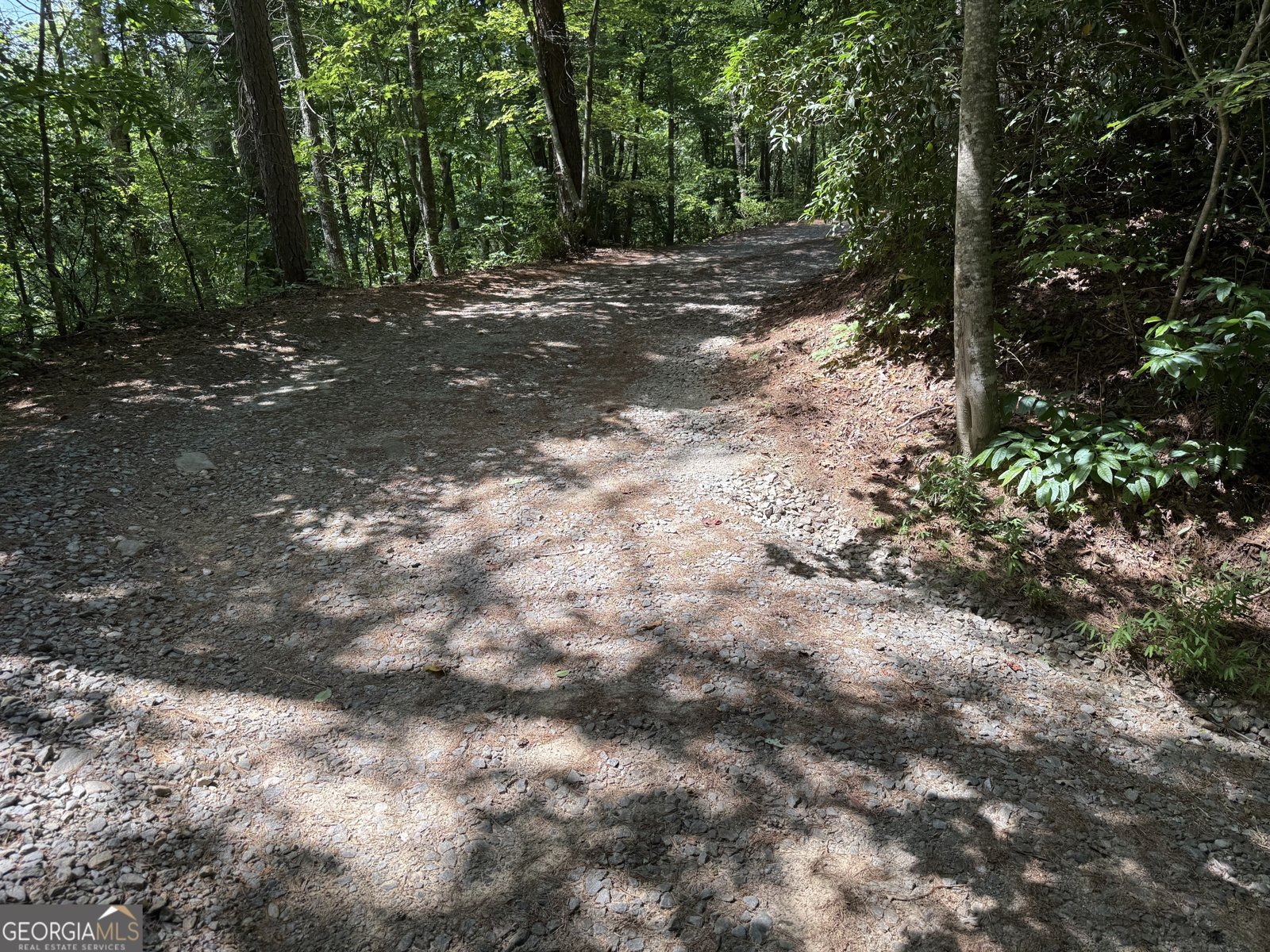 204 Dover Chapel Terrace Ellijay - Photo 9