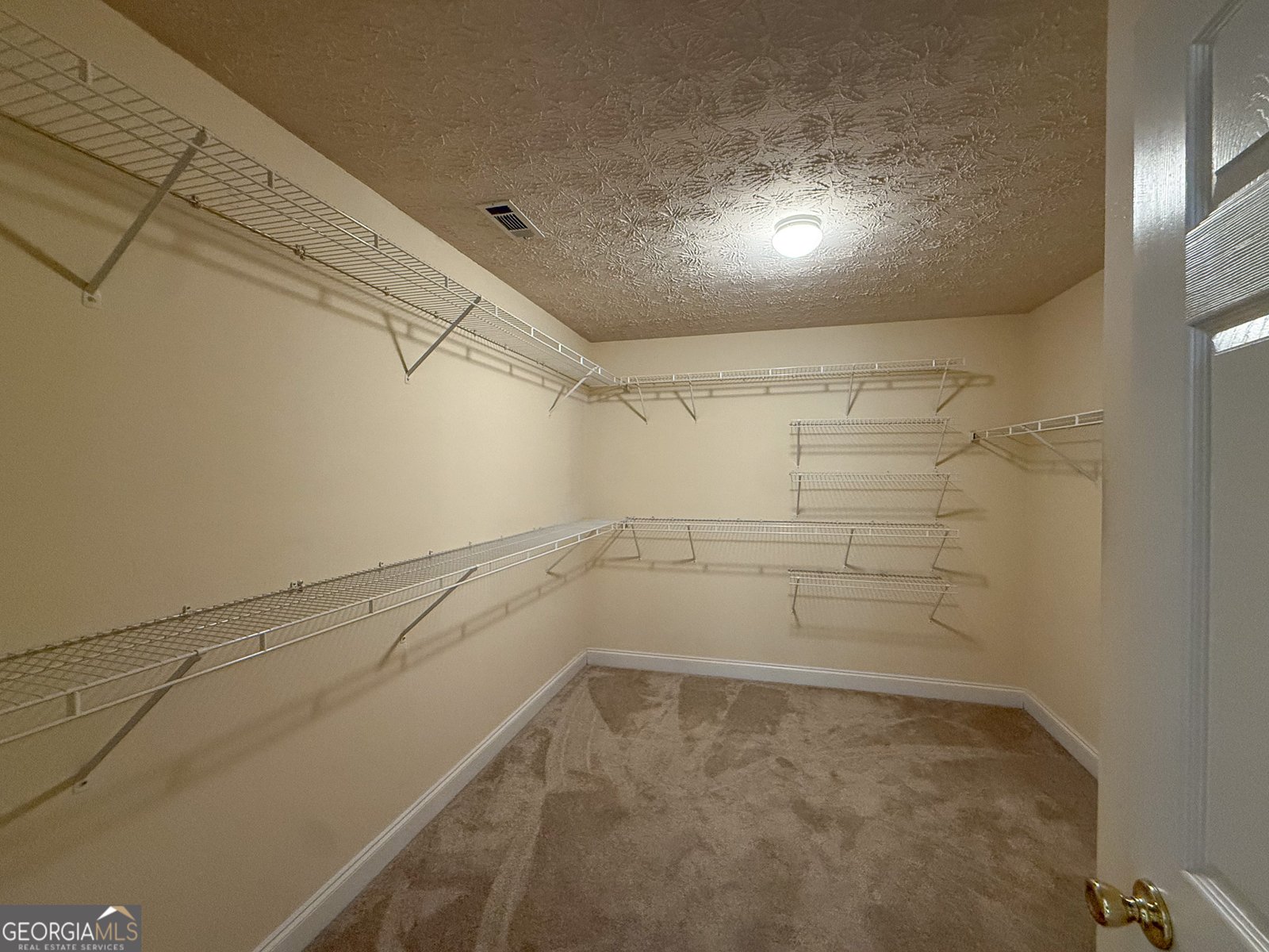 6015 Cedar Lake Trail Loganville - Photo 21